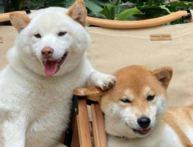 ​工作奋斗励志的句子