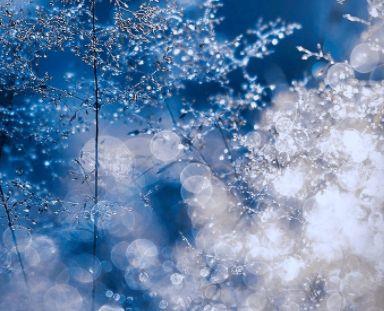 唯美的经典人生感悟句子