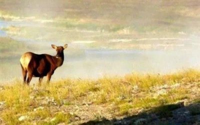 ​简短的正能量励志语句75条