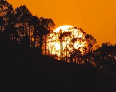 2015古风青春励志句子集锦