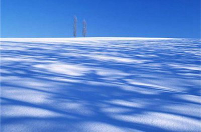 ​奋斗励志的句子59条