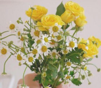 ​有哲理的爱情语句48条