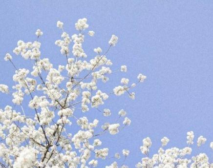 经典端午节句子（精选125句）