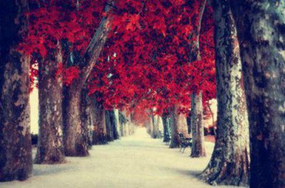 ​在逆境中的励志句子