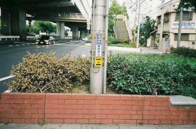 ​2025描述开学的心情的句子(精选56句)