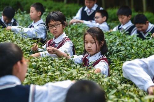 唯美简短英文爱情句子