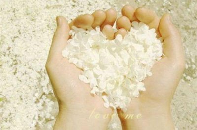 ​幸福句子100条