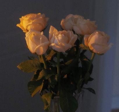 十月励志句子经典