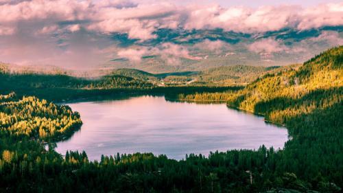 激励人心的销售励志句子