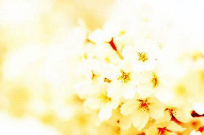 ​爱情感言经典句子120句