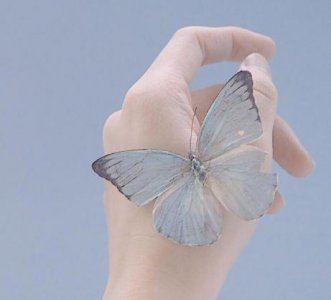 ​简单的表白句子摘录95条