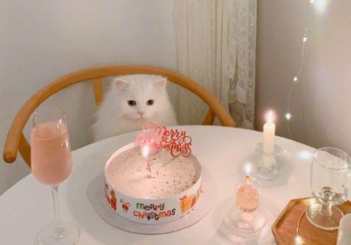 富有哲理的励志句子