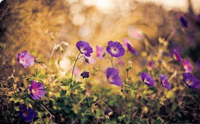 ​经验认识格言及感悟爱情句子