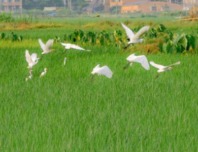 ​唯美经典句子89条