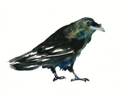 简洁的励志感悟句子集锦79条