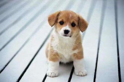 ​人生哲理阳光励志语录