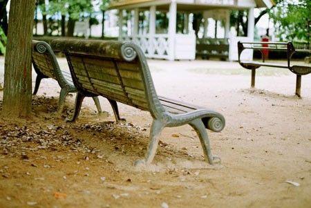 一些关于女人的爱情句子