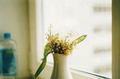 ​中考冲刺励志语 祝朋友中考顺利的句子汇编79句