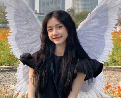 2025年经典形容梅花的句子摘录37条