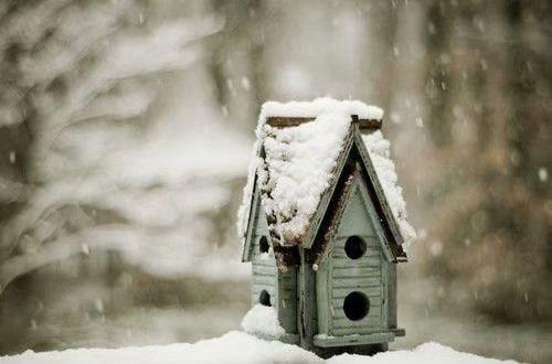 正能量励志语句摘录50条