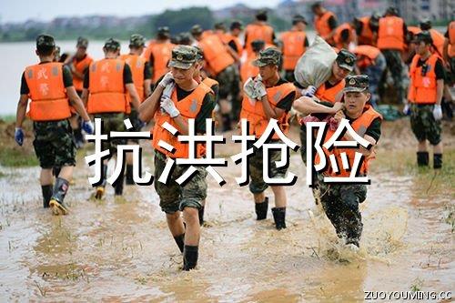 【实用】网络爱情语句集锦79条