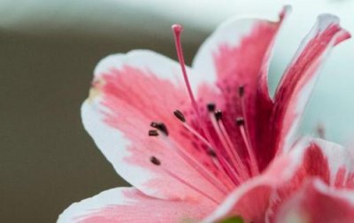 ​自律的女人最美的句子(精选40句)