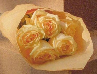 ​形容优美的句子42条