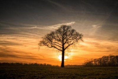 ​心情烦躁的句子 心情不好的说说女摘抄20句