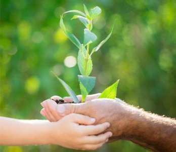 ​挽回爱情的句子