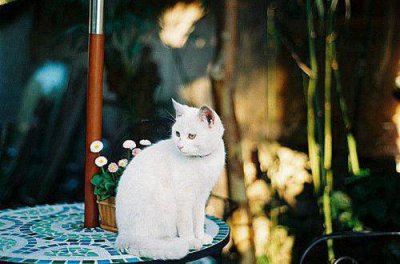 ​最让人安心温暖的句子