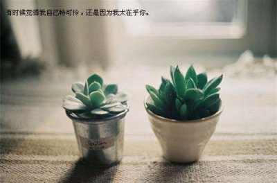 ​励志句子唯美简短