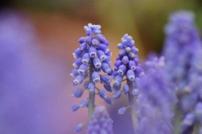 ​2025励志正能量句子(79句)