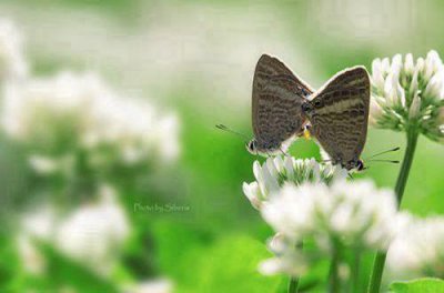 ​爱情签名浪漫简短的110句