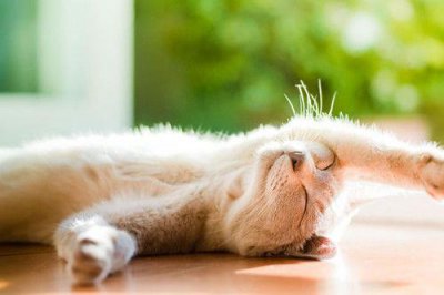 ​乐观的句子100句