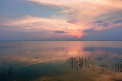 ​幸福爱情密语