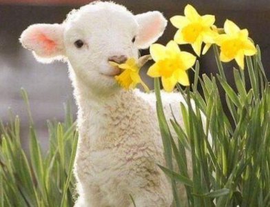 ​一些致自己的励志话句子