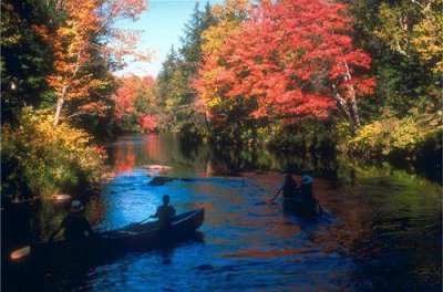 ​有哲理的爱情语句38条