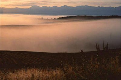 ​关于永恒的爱情句子