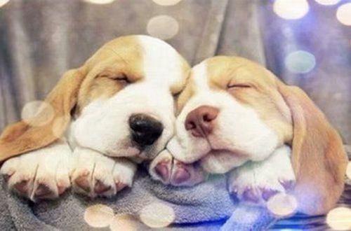 心情不好怎么发朋友圈 适合心情不好的说说