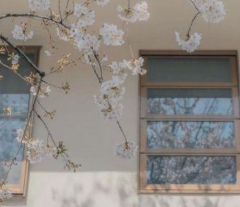 ​命运文案短句 万般皆是命的心情句子(16句)