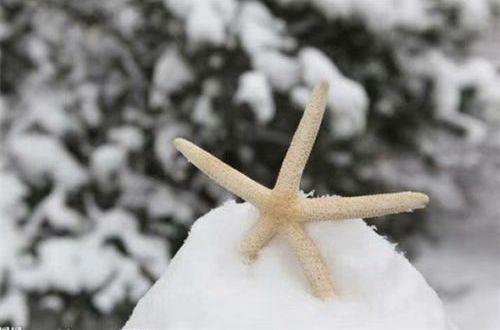 描写人物开心的心情的句子大全集