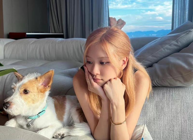 描写观音外貌的句子精选48句 描写观音外貌的句子精选48句