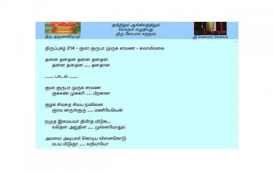 ​岁月静好的完整诗句是(岁月静好的完整诗句是负重前行致敬)