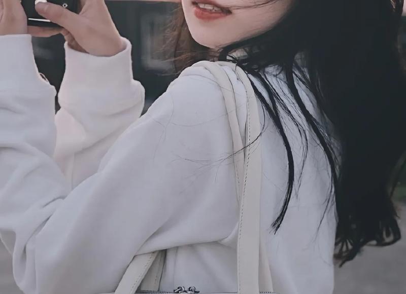 豪情壮志的诗句