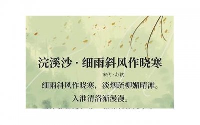 ​对老公失望心寒的诗句