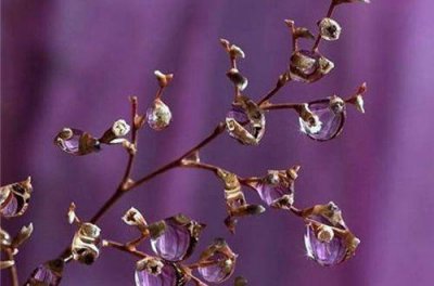 ​孤独励志名言84句