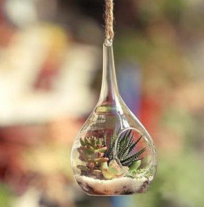 ​对别人表达感恩的励志话语句子(精选66句)