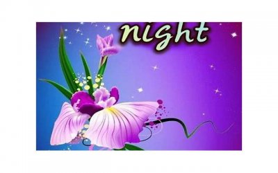 ​土味情话2025套路(土味情话2025套路男朋友)