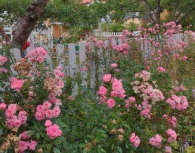 ​简洁的励志的句子85条