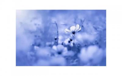 ​土味情话带着甜入睡(暖你的心土味情话)